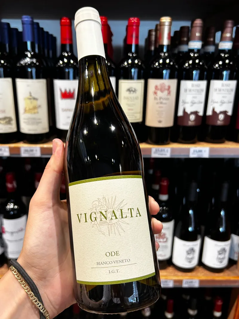 VIGNALTA-ODE BIANCO.webp